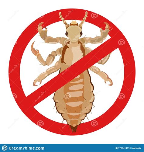 Warning Louse Sign Of An Insect Dangerous To Human Health