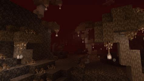 New Nether Biome The Soul Wastes A Fungal Haunted Land Includes