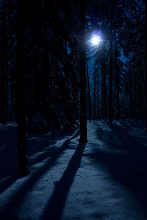 Moonlight Shadows 6 By Wolfheart83 Imatra Finland Moonlight
