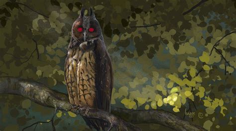 Stygian Owl By Hagge On Deviantart