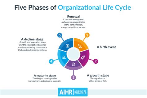 Organizational Life Cycle Definition Models And Stages Aihr