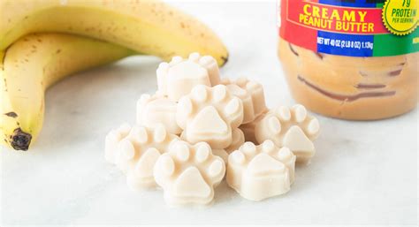 Yogurt Peanut Butter Banana Dog Treats Recipe Easy Dog Treats