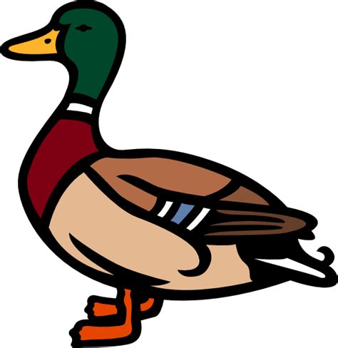 Mallard Duck Clip Art At Clker Com Vector Clip Art Online Royalty My