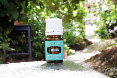 8 Ways To Use Fragonia Essential Oil By Lindsey Elmore Pharmd Bcps