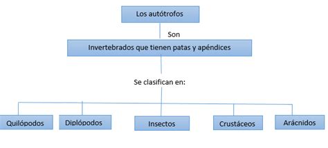 Cómo Hacer Un Mapa Conceptual En Word