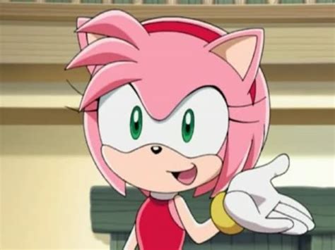 Amy Rose Sonic The Hedgehog Sonic X C Sega Tms Entertainment