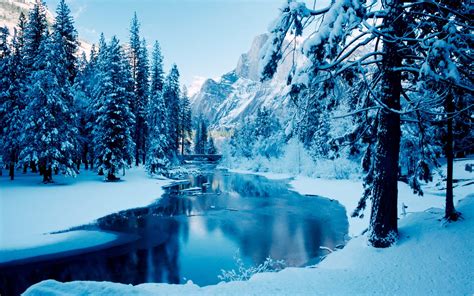Blue Winter Landscape Winter Theme Desktop Wallpaper
