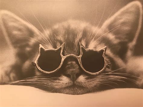Now That Is One Kool Kat Cats And Kittens Heart Sunglass