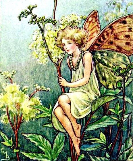 Queen Of The Meadow Flower Fairy Canvas Fairy Art Vintage Book Art