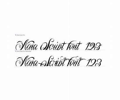 Fonts Font Cursive Calligraphy Decorative Script Tatto