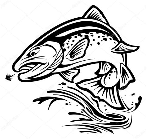 Trout Stock Vector Image By ©slipfloat 43146183