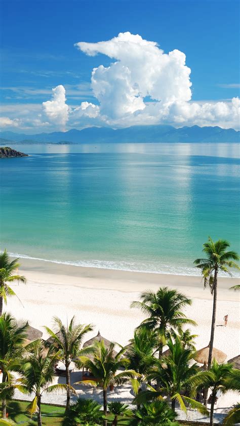 We did not find results for: Natureza Praia Tropical Mar Céu Azul