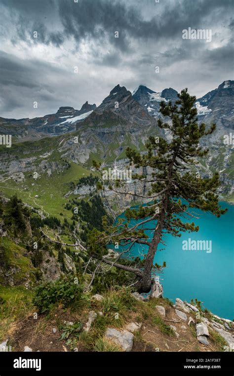 View Of Turquoise Lake Oeschinensee From High Above In The Swiss Alps