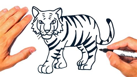 C Mo Dibujar Un Tigre F Cil Dibujo De Tigre Easy Drawings Dibujos