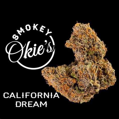 Cannabis Strain Review California Dream