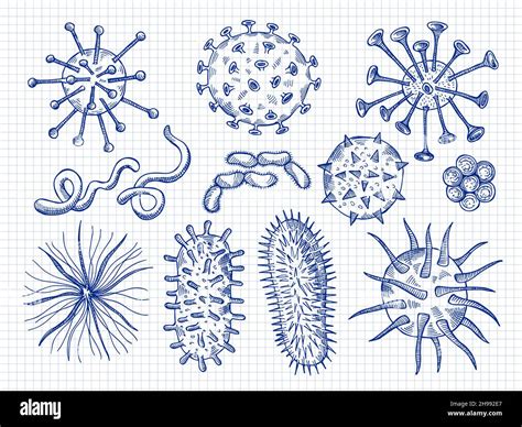 Sketch Viruses Covid Bacteria Microbiology Cell Danger Biological