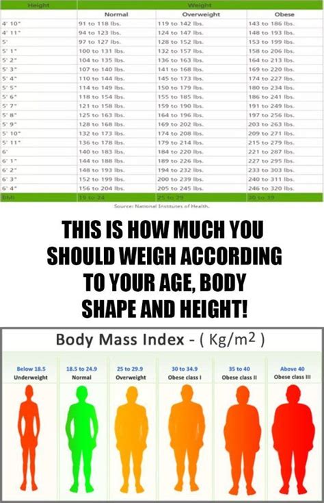 How To Count Ideal Weight Haiper
