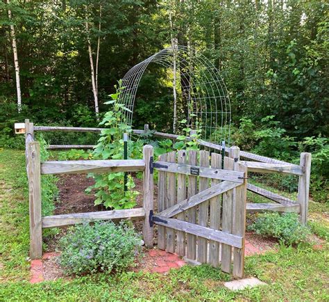 Diy Cattle Panel Trellis Arch —new England Lifestyle Motherhood Diy