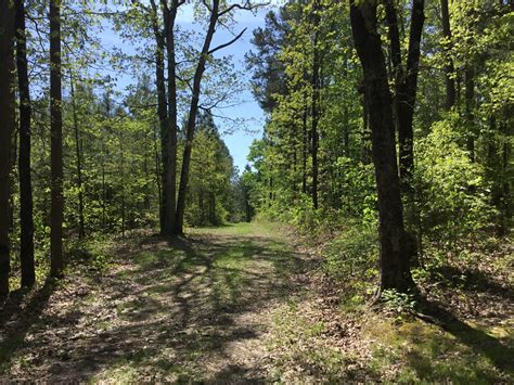 White County Ar Land For Sale 164 Acres Club Road