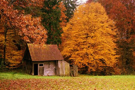 Fall Country Scenes Wallpaper Wallpapersafari