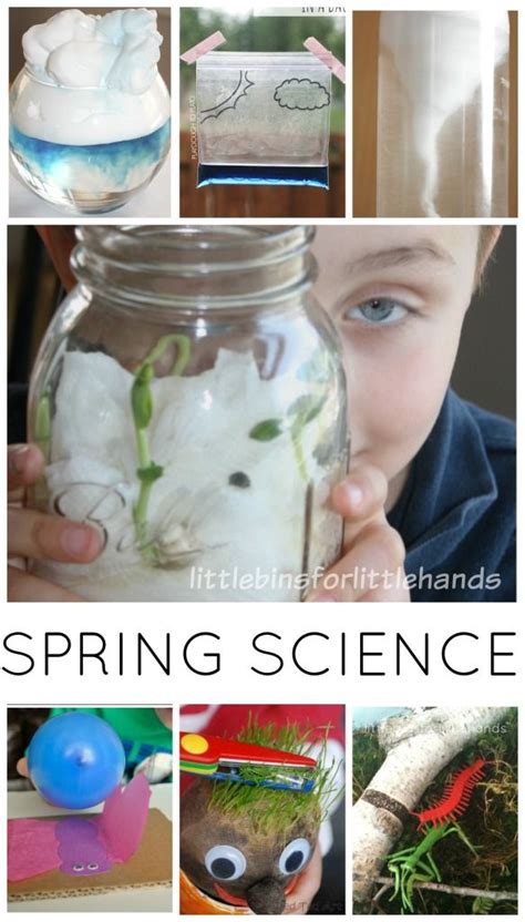 Spring Science Activities For Preschoolers Little Bins For Little