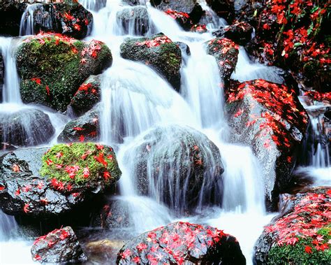 Waterfalls Kyoto Japan Photograph By Panoramic Images