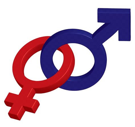 Gender Symbol Png Image Png All