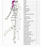 Free Printable Body Measurement Chart For Sewing - Printable Templates