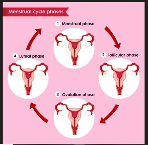 Abnormal Menstruation Treatment India Types Causes And Treatment Of Abnormal Menstruation