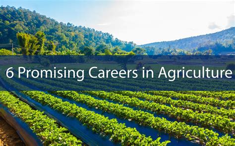 6 Promising Careers In Agriculture Ckab
