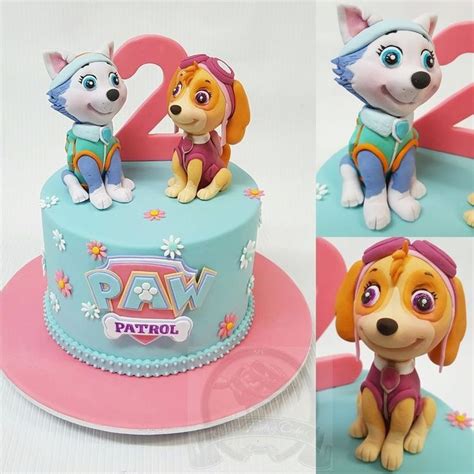 Paw Patrol Skye And Everest Cake Reverasite