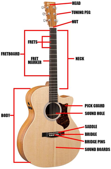 Ask students to design their own guitar using marker, crayons, or colored pencils, making sure that components in the diagram are present in their guitar. Acoustic Guitar Parts | Diagram | Definitions