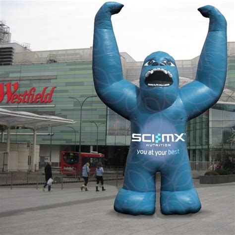 Custom Giant Inflatables The Best Way To Promote Brand