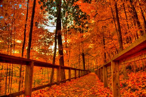 Free Download Android Wallpaper Fall Colors 2560x1705 For Your