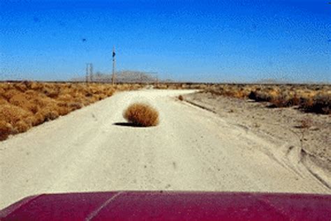 Tumbleweed GIFs GIFDB Com