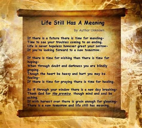 Meaning Of Life Poem Meanid