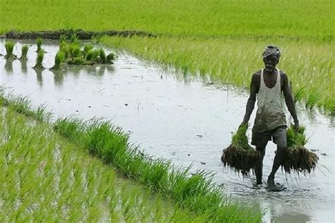 Kerala Farmers