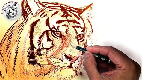 Como Dibujar Un Tigre Realista Usando L Piz Tinta Y Tiza Tecnicas De