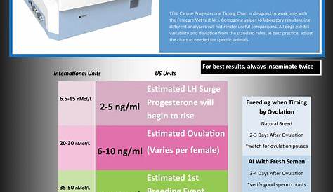 Top benefits of at-home progesterone testing | Canadian Dogs