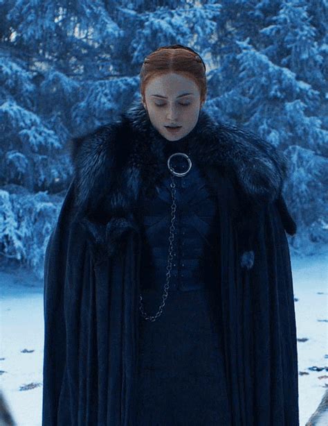 Calm Before The Storm Sansa Stark X Reader Thank You For Your