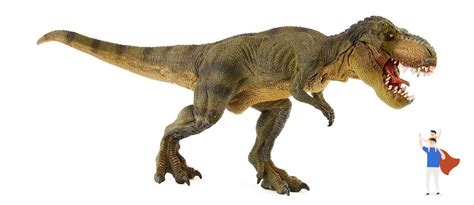 T Rex O Tirannosauro Rex Scopri Il Temibile Dinosauro Carnivoro Del