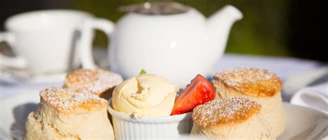 South Devon Cream Teas Even If Youve Never Been To Devon Before The