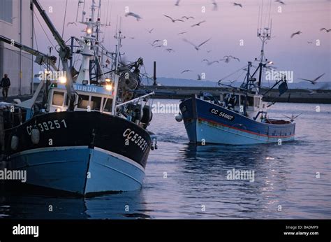 France Finistere Douarnenez Le Port Fishing Boats Unloading Their