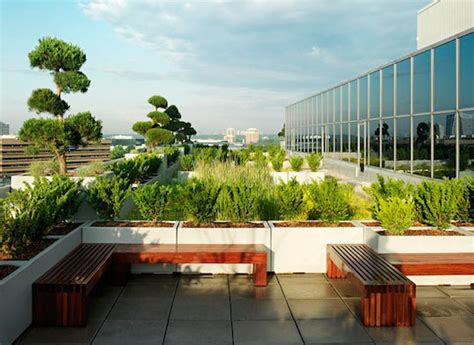 Green Roofs Are Changing The Way Architects Design