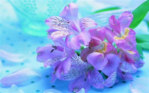 Pretty Flowers Backgrounds Wallpaper Cave