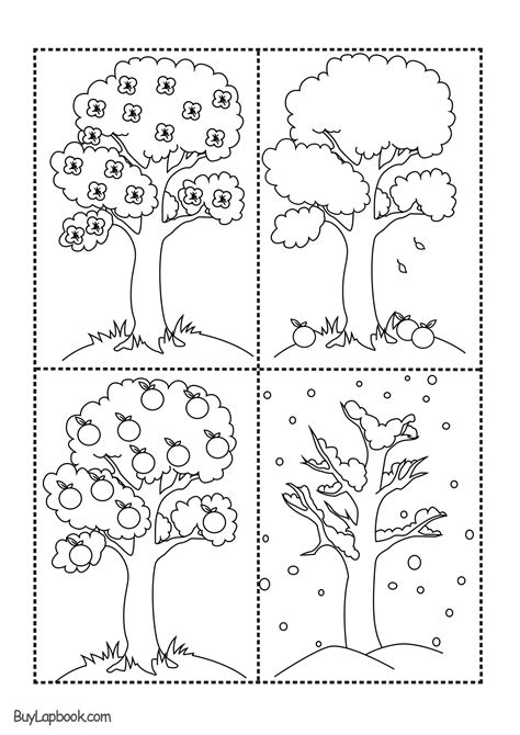 A Tree In Four Seasons Coloring Book To Print And Online