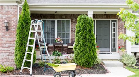 7 Must Do Spring Home Maintenance Tasks Daily Rx