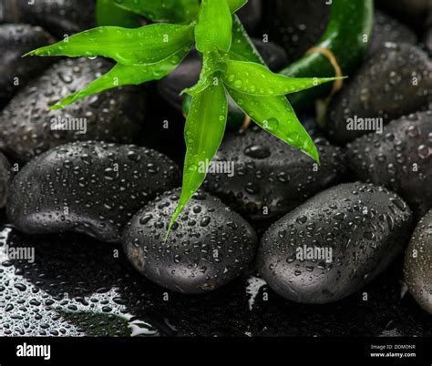 Zen Stone And Bamboo Leaves With Water Drops Stock Photo Alamy