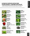 Lista 94+ Foto 100 Nombres De Plantas Con Imágenes Actualizar