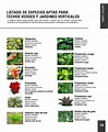 Lista 101+ Imagen Dibujos De Plantas Medicinales Con Sus Nombres En ...